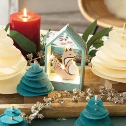 Festin des bois  Scenette lumineuse