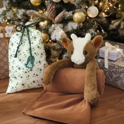Les prêts à offrir  Plaid et peluche