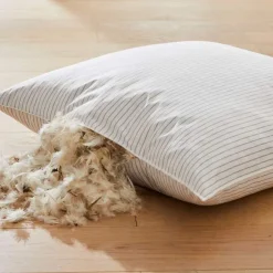 Plumes  Oreiller