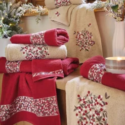 Promesse de bonheur  2 gants de toilette